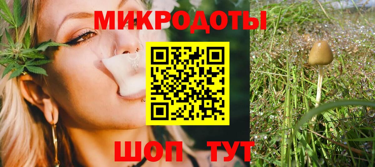 Рузаевка  Псилоцибиновые грибы Psilocybe  Вход с VPN  Галлюциногенные грибы MAGIC MUSHROOMS 